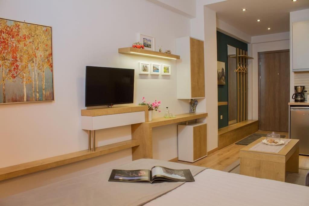 Apartment Meteora A *