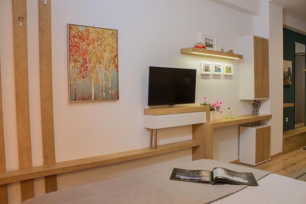 Apartment Meteora A Kalambaka